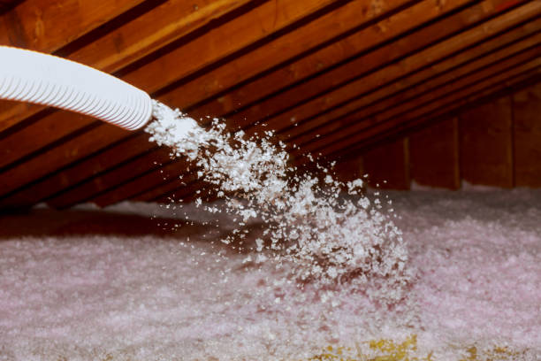 Types of Insulation We Offer in Great Falls, VA
